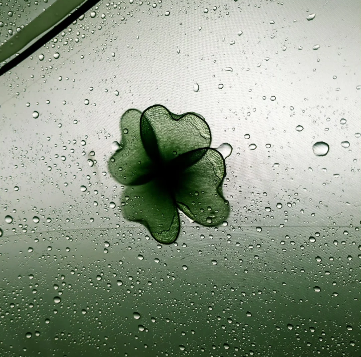 雨天背景图 绿色系背景图