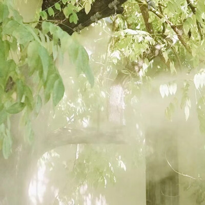 如果遗憾没被永远 凝固成曾经
