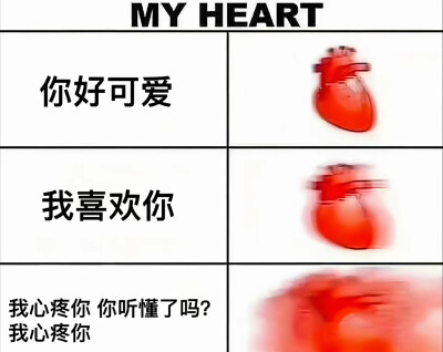 我的心属于你
