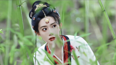 《桃花映江山》姜桃花（孟子义饰）