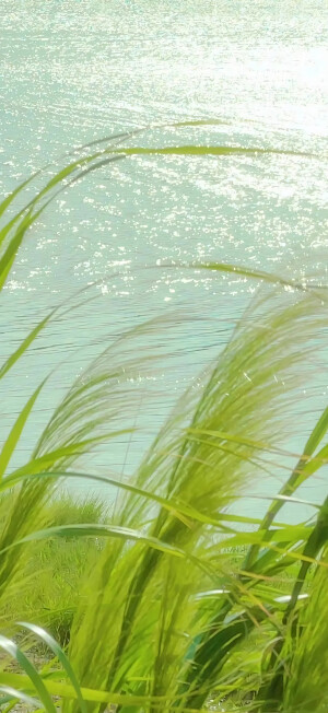 聊天背景