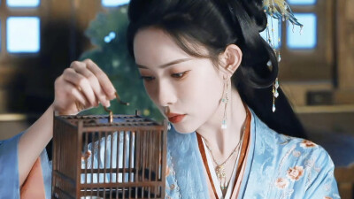 《桃花映江山》姜桃花（孟子义饰）