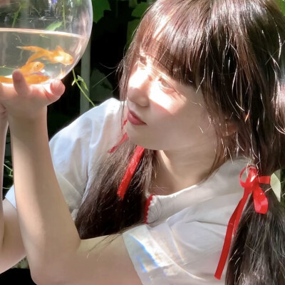 影子向玫瑰献忱落日与夕阳亲抚迟暮