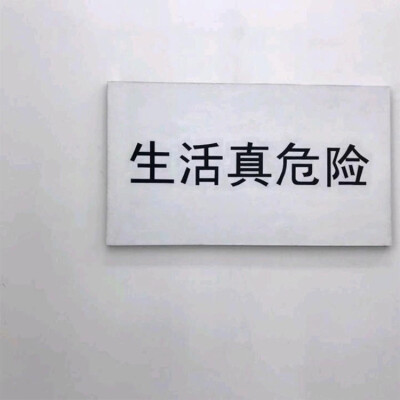 落日溺在云层里月光散落森林里 
