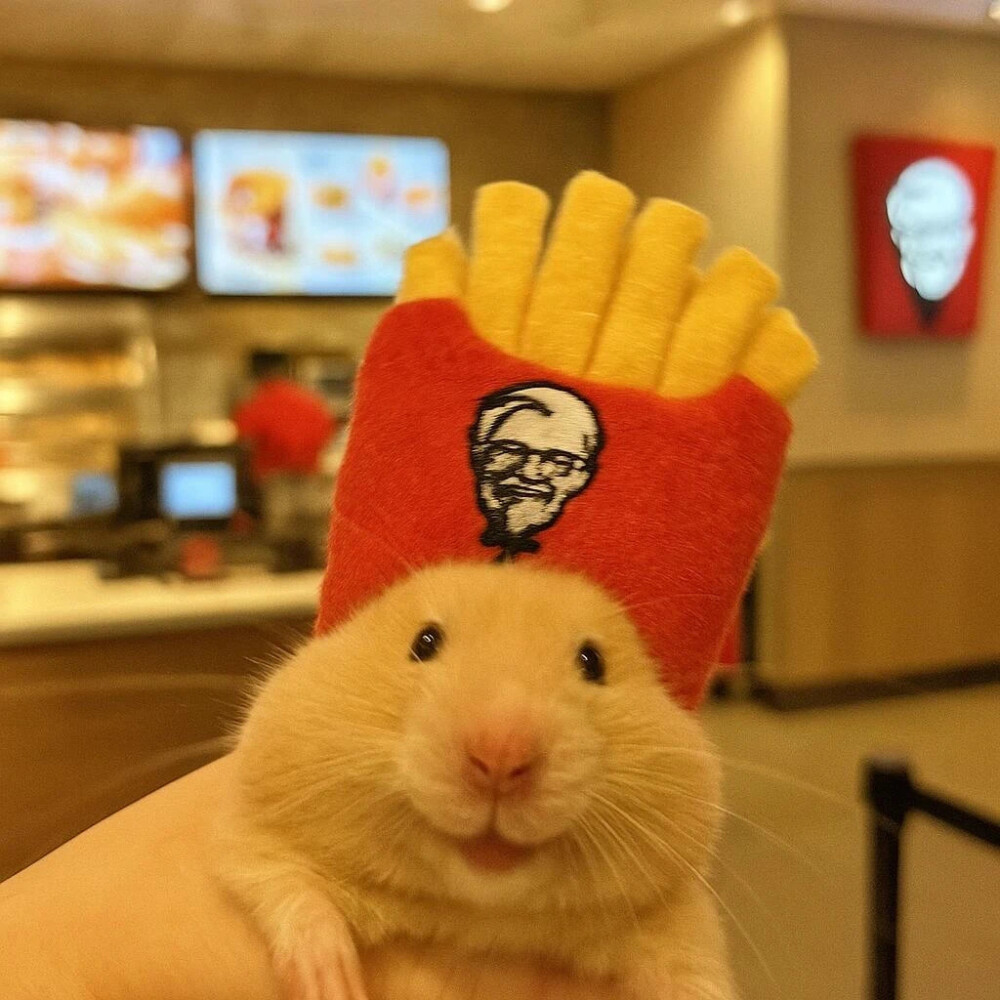 鼠鼠可爱头像
cr:鼠鼠小世界