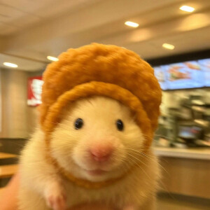 鼠鼠可爱头像

cr:鼠鼠小世界