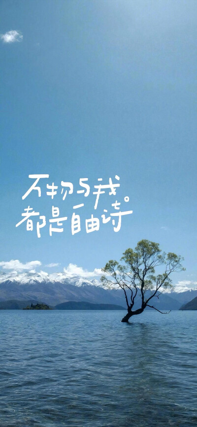 壁纸