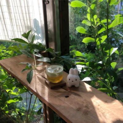 古早味背景图 绿色系背景图