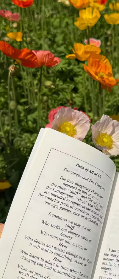侵删