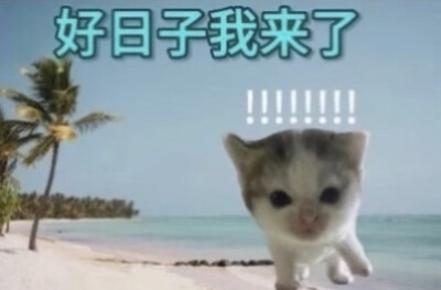 表情包