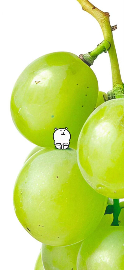 熊 壁纸套图.｡.:*♡
#美食壁纸##小清新壁纸#