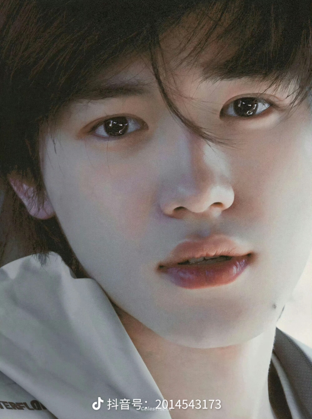 他说难过的眼睛就像柏林的一场雾