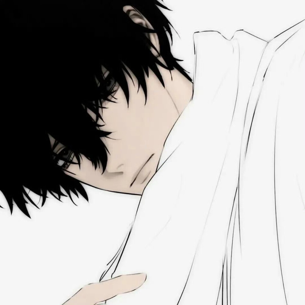 别把自由的小猫叫做流浪猫