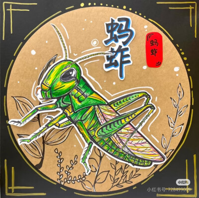 昆虫