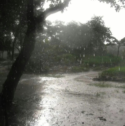 雨
