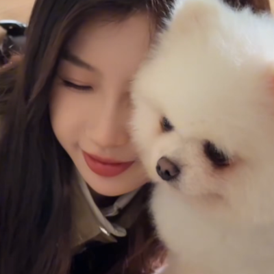 狗狗