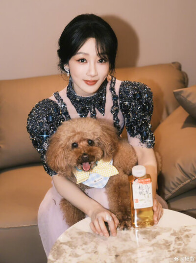杨紫