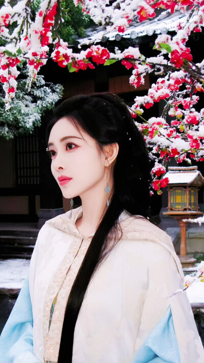 桃花映江山