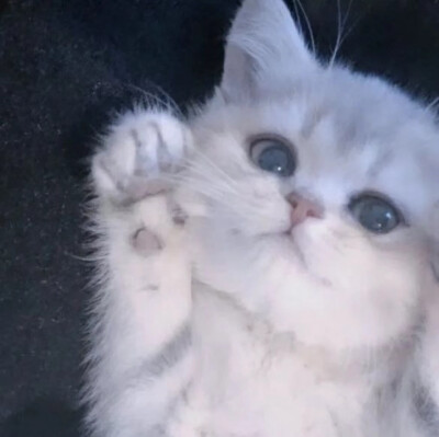 。