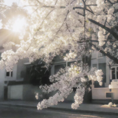 背景