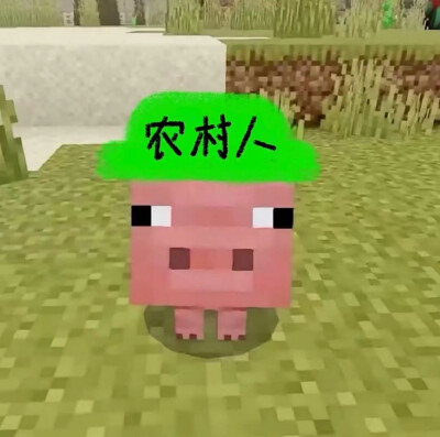 誓言只有在发誓的那一刻是真的