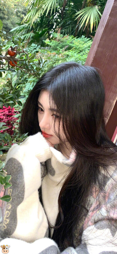 鞠婧祎壁纸