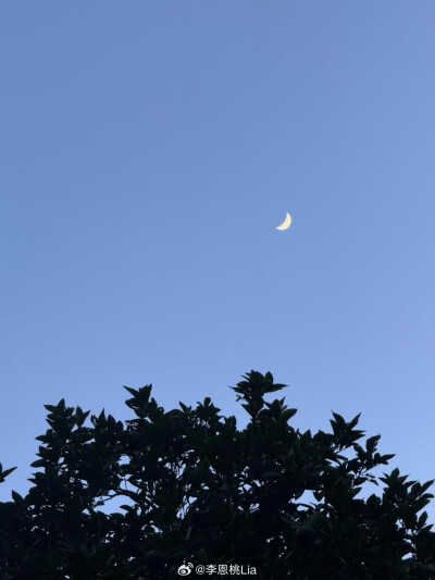 壁纸