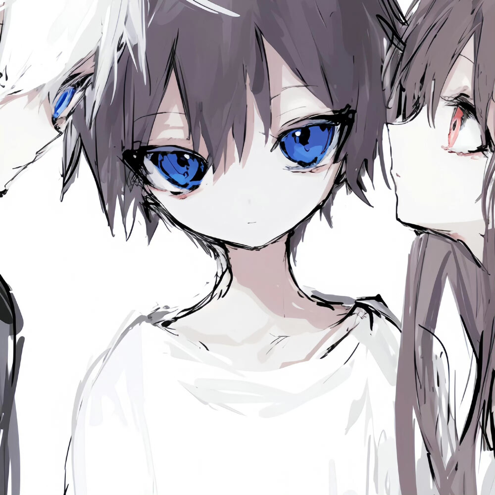 小猫需要很多爱才能变得更好