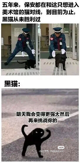 我是不会放弃收集这种图片的