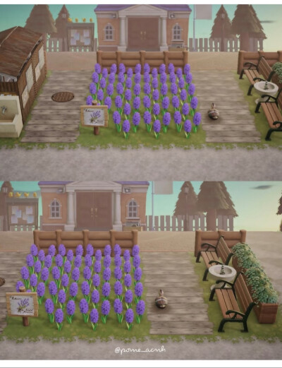 动森