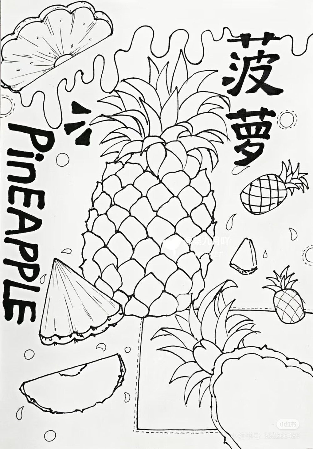菠萝