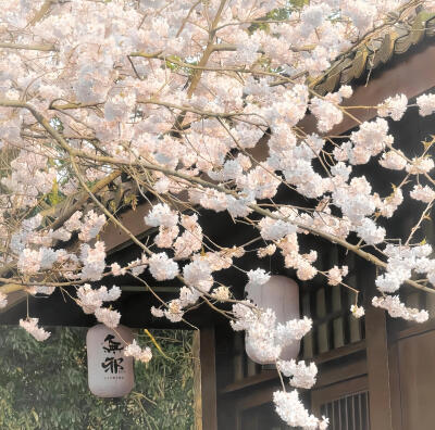 背景