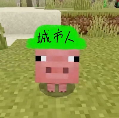 誓言只有在发誓的那一刻是真的
