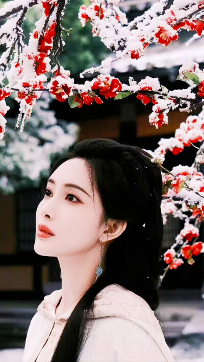 桃花映江山