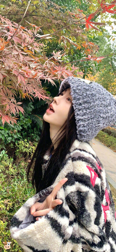 鞠婧祎壁纸