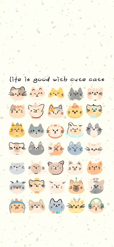 猫猫壁纸