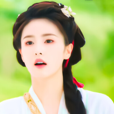 白鹿