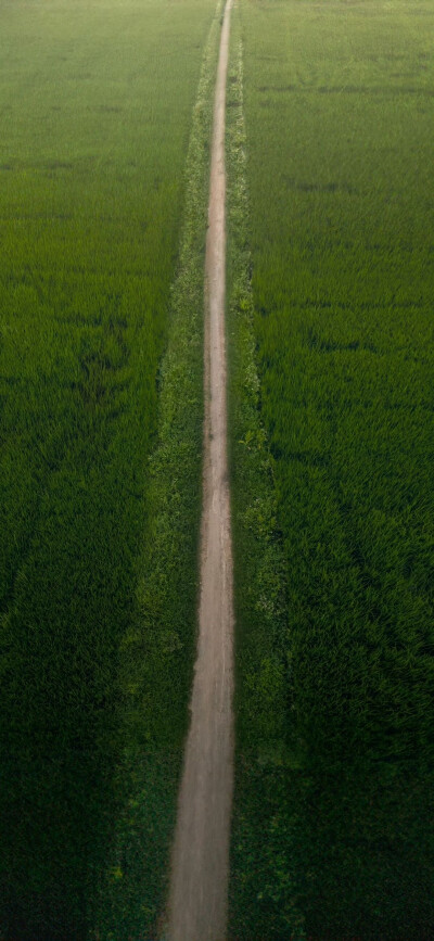 啦啦啦