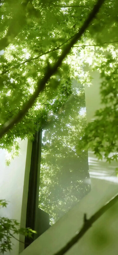氛围感壁纸