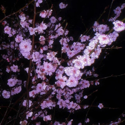 朋友圈背景图