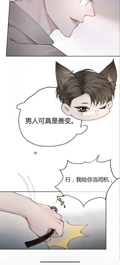 天仙狗狗