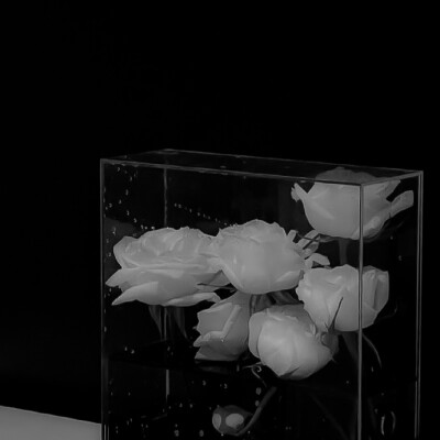 Cold light“冷夜”...Calendar in the camera