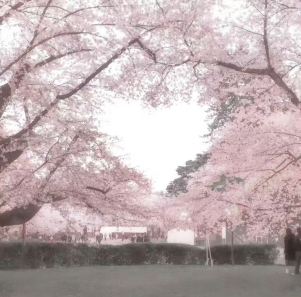 蒋寄给的 ⌯>ᴗo⌯ .ᐟ.ᐟ