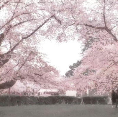 蒋寄给的 ⌯>ᴗo⌯ .ᐟ.ᐟ