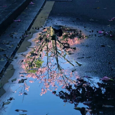 朋友圈背景图