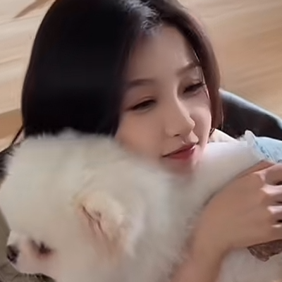 猫狗日记