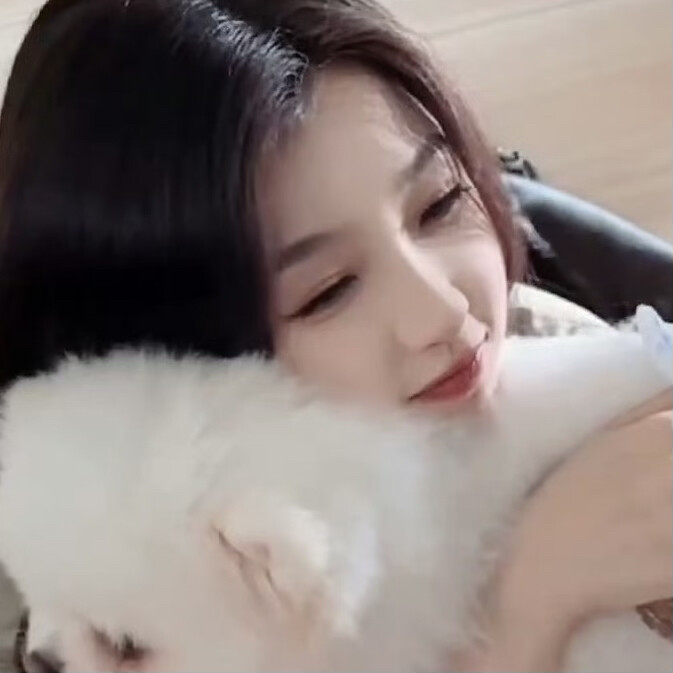 猫猫狗狗