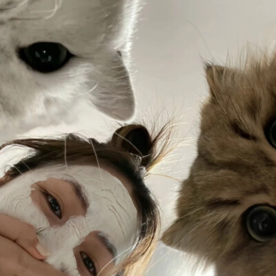 和小猫