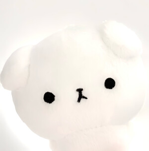 小狗