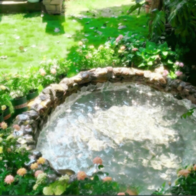 幻爱加州宝宝送的图～